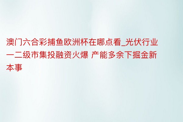 澳门六合彩捕鱼欧洲杯在哪点看_光伏行业一二级市集投融资火爆 产能多余下掘金新本事